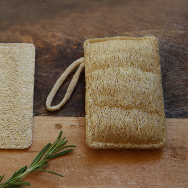 Eponge naturelle multiusages en Loofah