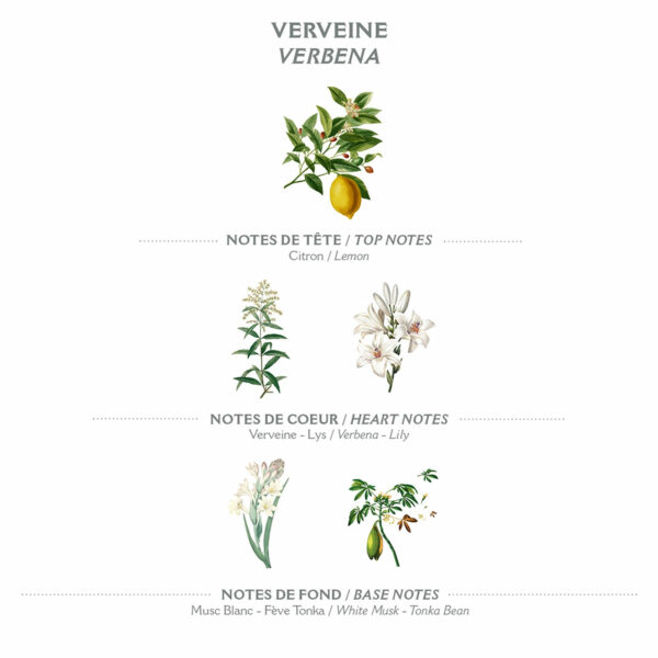 Eau de toilette Roll On 10 ml - Verveine – Image 4