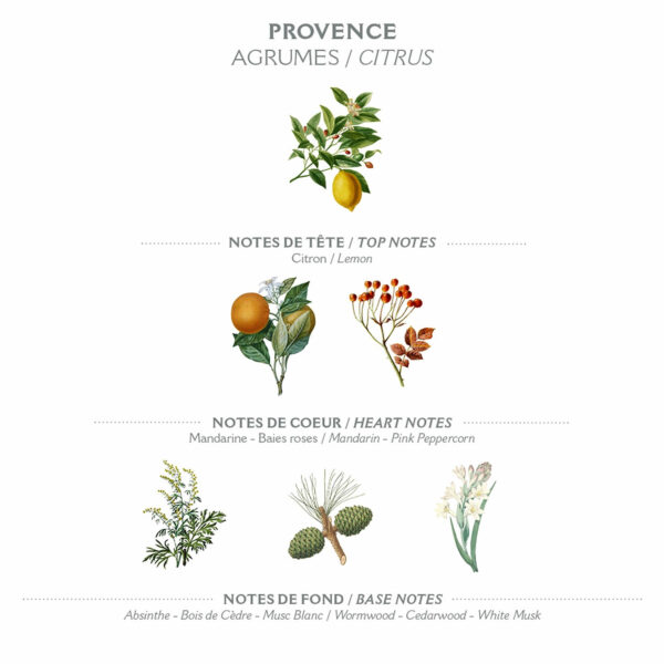 Eau de toilette Roll On 10 ml - Provence – Image 4