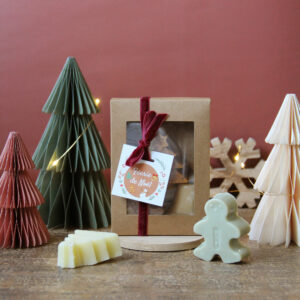 Coffret « Féérie de Noël » 🌿 120g